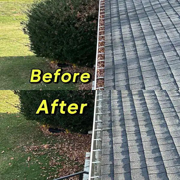 Gutter Cleaning in Staunton