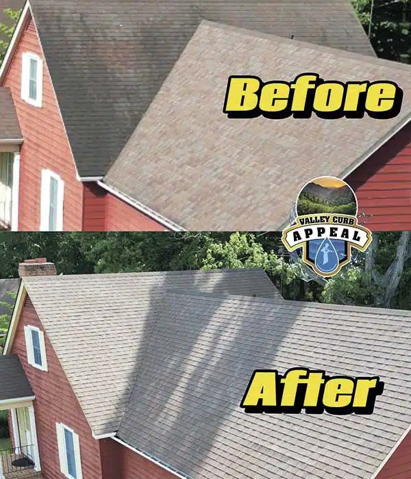 Roof Washing in Staunton